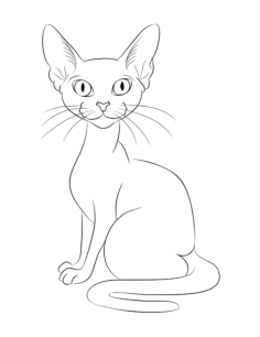 Sphynx Outline Cat Coloring Pages Pdf, Free Vectors File